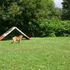 obeissance 2014-08-02